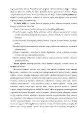 Viešojo sektoriaus programų vertinimo ypatumai 4 puslapis