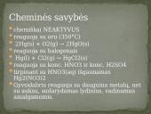 Cheminis elementas - gyvsidabris 4 puslapis