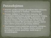 Cheminis elementas - gyvsidabris 5 puslapis