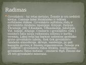 Cheminis elementas - gyvsidabris 6 puslapis