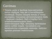 Cheminis elementas - gyvsidabris 7 puslapis