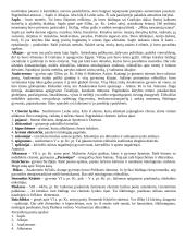 Antikinė ir graikų literatūra 3 puslapis