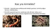 Kirminų pasaulis