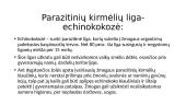 Kirminų pasaulis 10 puslapis