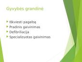 Pirmoji pagalba (skaidrės) 2 puslapis