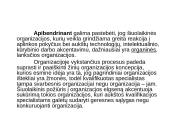 Žmonės ir vadovavimas. Struktūra ir technologija 12 puslapis