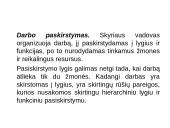 Žmonės ir vadovavimas. Struktūra ir technologija 2 puslapis