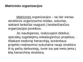 Žmonės ir vadovavimas. Struktūra ir technologija 6 puslapis