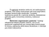 Žmonės ir vadovavimas. Struktūra ir technologija 7 puslapis