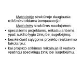 Žmonės ir vadovavimas. Struktūra ir technologija 8 puslapis