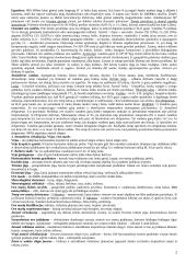 Atmosferos tyrimas 2 puslapis