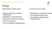Baltijos šalių švietimo politika (skaidrės) 9 puslapis
