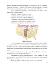 Aplinkos fizika. škvalai, uraganai, viesulai 14 puslapis