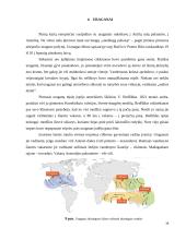 Aplinkos fizika. škvalai, uraganai, viesulai 15 puslapis