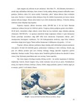 Aplinkos fizika. škvalai, uraganai, viesulai 19 puslapis