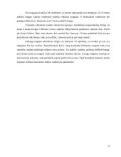 Aplinkos fizika. škvalai, uraganai, viesulai 20 puslapis