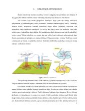 Aplinkos fizika. škvalai, uraganai, viesulai 3 puslapis
