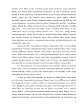 Aplinkos fizika. škvalai, uraganai, viesulai 7 puslapis