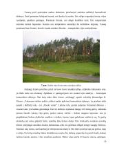 Aplinkos fizika. škvalai, uraganai, viesulai 9 puslapis