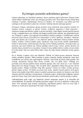 Ką žmogus praranda naikindamas gamtą? Rašinys