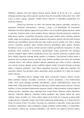 Idealizmas ir realizmas ugdyme 4 puslapis