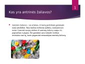 Šviestuvas naudojant antrines žaliavas 2 puslapis