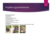 Šviestuvas naudojant antrines žaliavas 11 puslapis