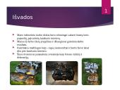 Šviestuvas naudojant antrines žaliavas 15 puslapis