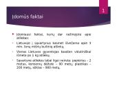 Šviestuvas naudojant antrines žaliavas 7 puslapis