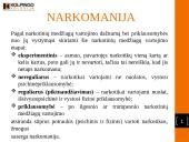 Socialins darbas su asmenimis priklausomais nuo narkotinių medžiagų 2 puslapis
