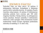 Socialins darbas su asmenimis priklausomais nuo narkotinių medžiagų 8 puslapis