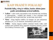 Savižudybė – drąsa, laisvas pasirinkimas ar liga? 5 puslapis