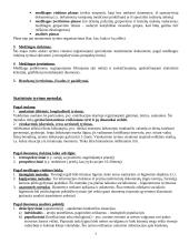 Biostatistikos teorija 3 puslapis