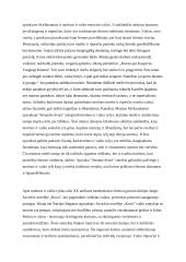 Motinos ir vaiko ryšys lietuvių literatūroje  ( Šatrijos Ragana, Jurgis Savickis) 2 puslapis