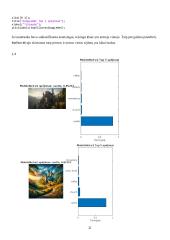 Kompiuteirnės regos (vaizdų atpažinimo) algoritmų tyrimas 12 puslapis