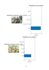 Kompiuteirnės regos (vaizdų atpažinimo) algoritmų tyrimas 16 puslapis