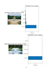 Kompiuteirnės regos (vaizdų atpažinimo) algoritmų tyrimas 20 puslapis