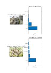 Kompiuteirnės regos (vaizdų atpažinimo) algoritmų tyrimas 6 puslapis