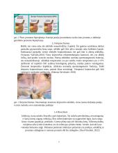 Patinų nevaisingumas 6 puslapis