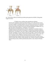 Patinų nevaisingumas 7 puslapis