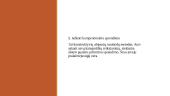 Tarpkultūriniai konfliktai ir jų sprendimas 19 puslapis