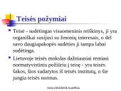 Teisės samprata, pagrindiniai požymiai, funkcijos ir principai. Teisinės būties lygmenys 12 puslapis