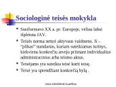 Teisės samprata, pagrindiniai požymiai, funkcijos ir principai. Teisinės būties lygmenys 7 puslapis