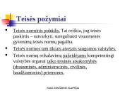 Teisės samprata, pagrindiniai požymiai, funkcijos ir principai. Teisinės būties lygmenys 10 puslapis