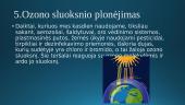 Pasaulio aplinkos globalinės problemos 14 puslapis