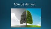 Pasaulio aplinkos globalinės problemos 17 puslapis