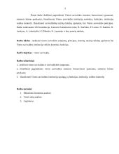 Vietos savivalda kursinis darbas 3 puslapis