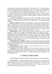 Ūkyje laikomų (planuojamų laikyti) triušių veislių  charakteristika, jų biologiniai ir ūkiniai ypatumai, vykdoma jų atranka ir veisimo metodai 7 puslapis