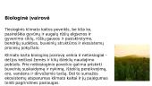 Klimato atšilimas ir šiltnamio efektas 10 puslapis