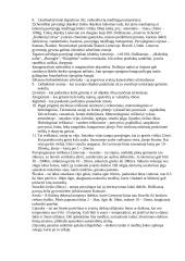 Civilinė sauga - teorija 4 puslapis